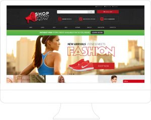 Shop-Now - Website Design